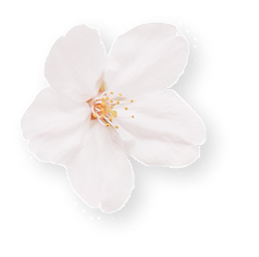 花びら