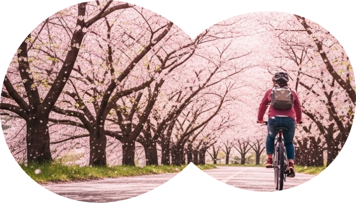 桜事業画像