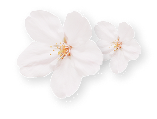 sakura-deco